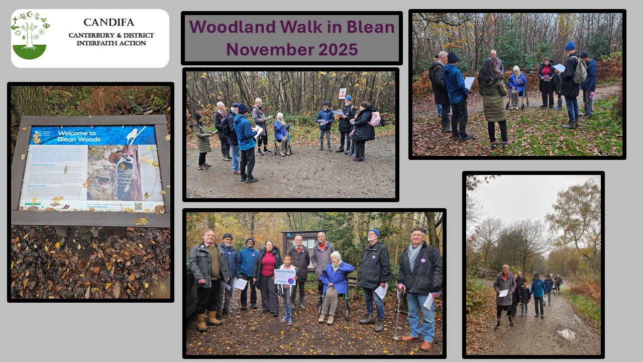 images from woodland walk